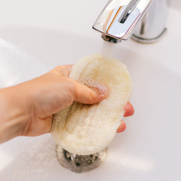 Soap Holder in Luffa Sponge 100% compostable - Θήκη σαπουνιού σε Λουφα 100% κομποστοποιήσιμη