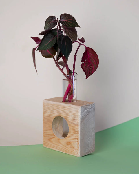 Propagation station Ōvase - Σταθμός Αναπαραγωγής Φυτών - Natural