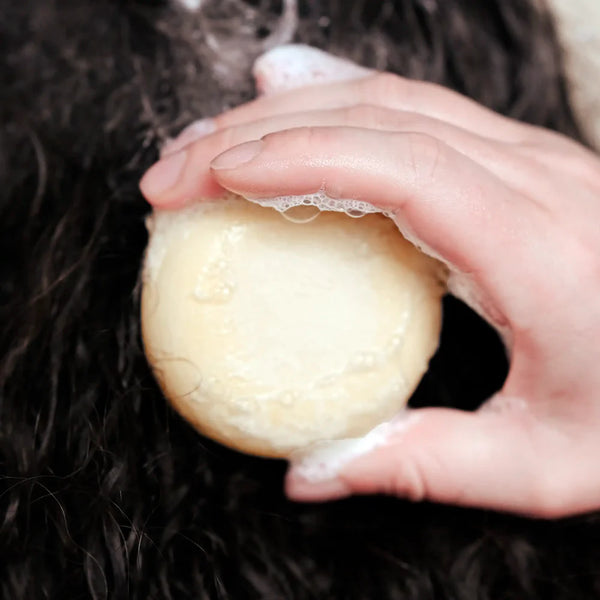 Solid Shampoo - Curly Hair/ Στερεό Σαμπουάν - Μαλλιά με Μπούκλες