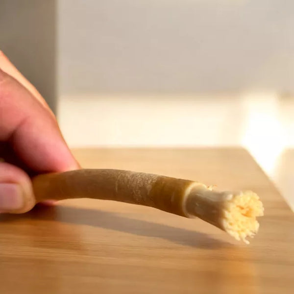 Miswak Natural toothbrush made of arak wood / Φυσική οδοντόβουρτσα Miswak από ξύλο αράκ
