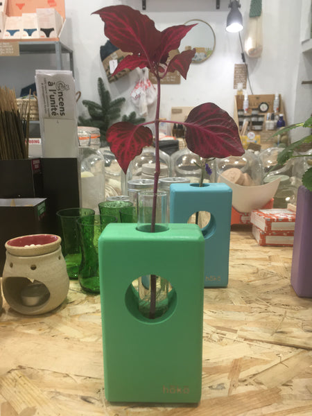 Propagation station Ōvase - Mint / Σταθμός Αναπαραγωγής Φυτών - Μέντα