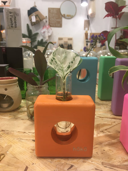 Propagation station Ōvase - Orange / Σταθμός Αναπαραγωγής Φυτών - πορτοκάλι