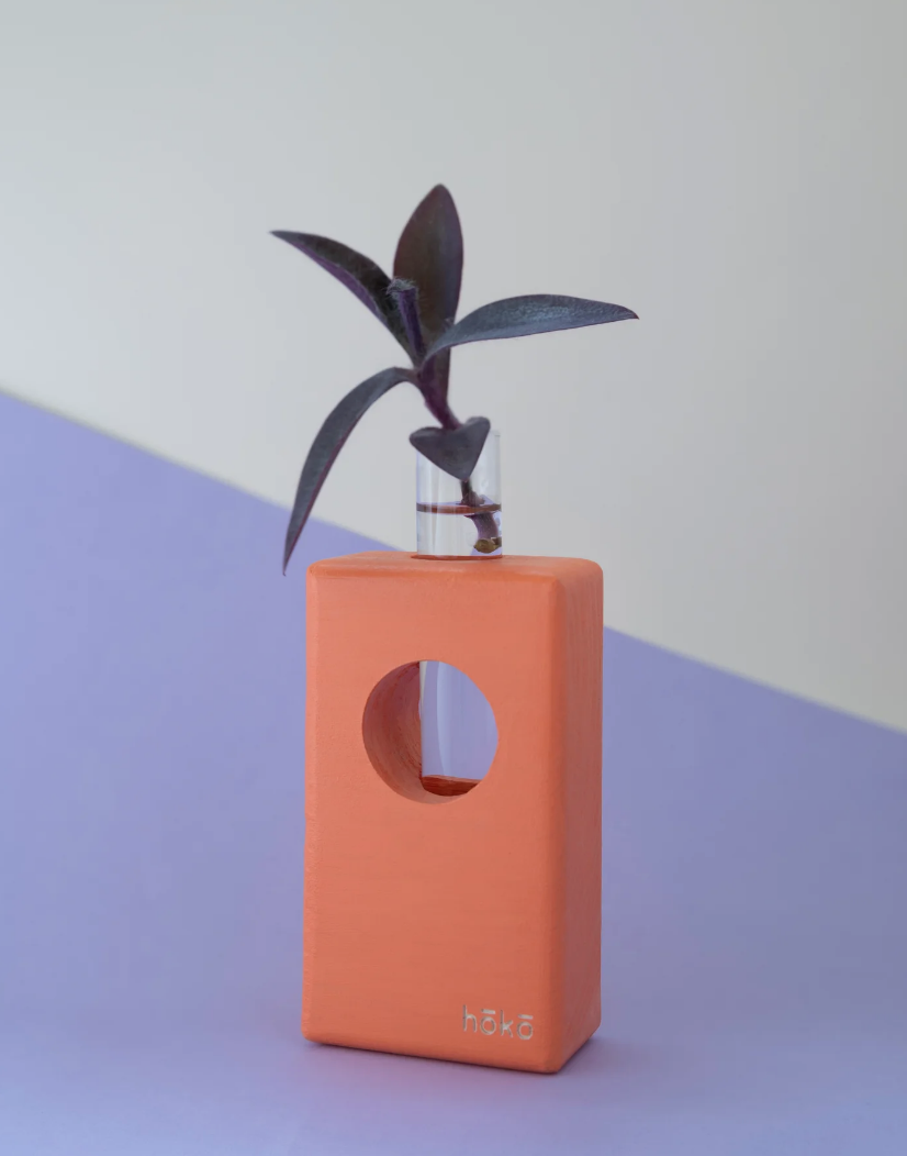 Propagation station Ōvase - Orange / Σταθμός Αναπαραγωγής Φυτών - πορτοκάλι