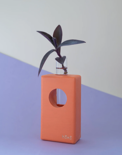 Propagation station Ōvase - Orange / Σταθμός Αναπαραγωγής Φυτών - πορτοκάλι