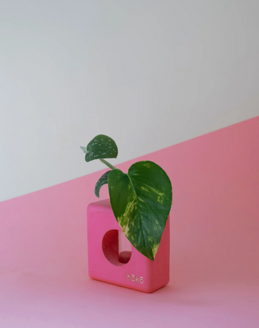 Propagation station Ōvase - Pink / Σταθμός Αναπαραγωγής Φυτών - Ροζ