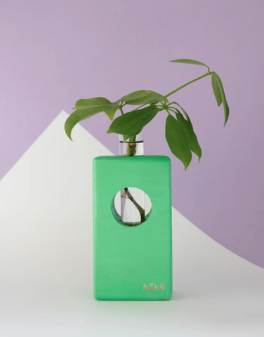 Propagation station Ōvase - Mint / Σταθμός Αναπαραγωγής Φυτών - Μέντα