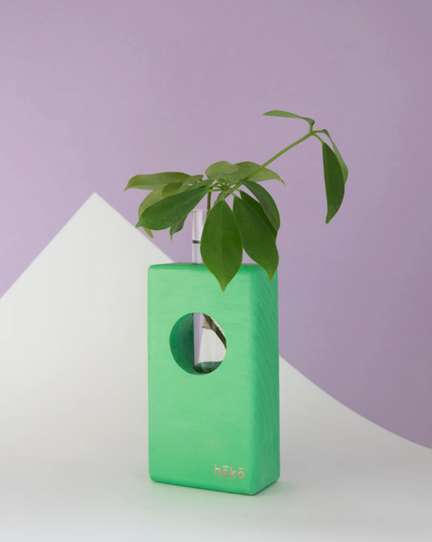 Propagation station Ōvase - Mint / Σταθμός Αναπαραγωγής Φυτών - Μέντα