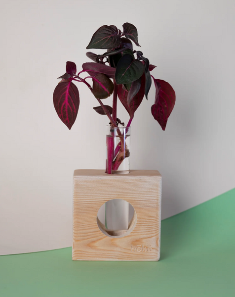 Propagation station Ōvase - Natural Squared / Σταθμός Αναπαραγωγής Φυτών - Φυσικό τετραγωνο